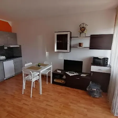 Daire Vidojkovic Soko Banja