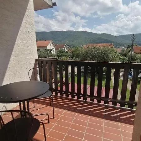 Vidojkovic Soko Banja