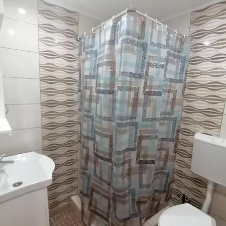 Vidojkovic Soko Banja