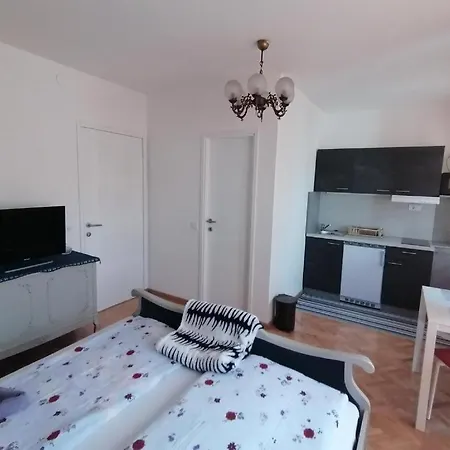 Vidojkovic Soko Banja
