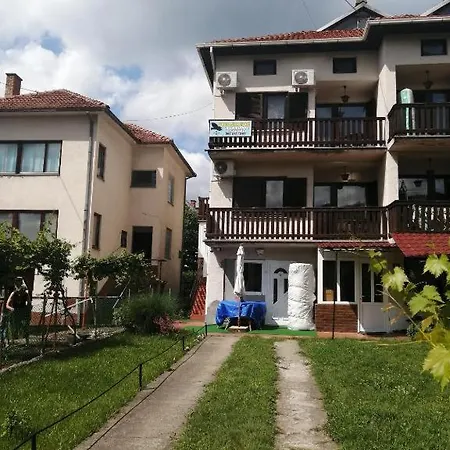 Vidojkovic * Soko Banja