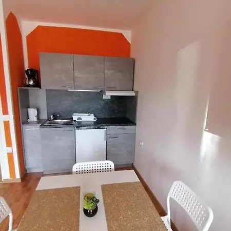 Daire Vidojkovic Soko Banja